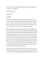 Nghiên cứu khoa học 