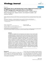 Báo cáo hóa học: 