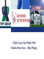 Phân tích chiến lược sản phẩm mới của numberone soya   đậu phộng