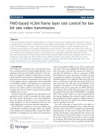 Báo cáo hóa học: 