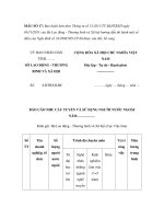 MẪU BÁO CÁO NHU CẦU TUYỂN VÀ SỬ DỤNG NGƯỜI NƯỚC NGOÀI NĂM doc