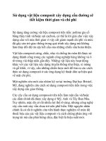 Sử dụng vật liệu composit xây dựng cầu đường sẽ tiết kiệm thời gian và chi phí ppt