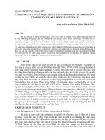 Nghiên cứu khoa học 