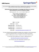 Báo cáo hóa học: 