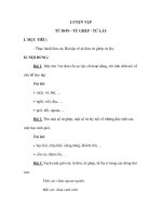 LUYỆN TẬP TỪ ĐƠN - TỪ GHÉP - TỪ LÁY ppt