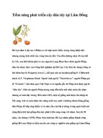 Tiềm năng phát triển cây dâu tây tại Lâm Đồng potx