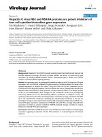 Báo cáo hóa học: 