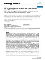 Báo cáo hóa học: 