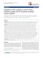 báo cáo hóa học: 