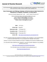 báo cáo hóa học: