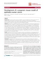 báo cáo hóa học: