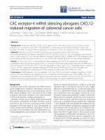 báo cáo hóa học: