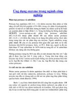 Ứng dụng enzyme trong ngành công nghiệp docx