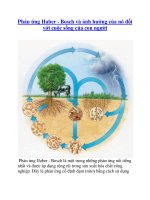 Phản ứng Haber - Bosch và ảnh hưởng của nó đối với cuộc sống của con người docx