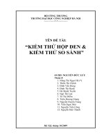 kiểm thử hộp đen - kiểm thử so sánh