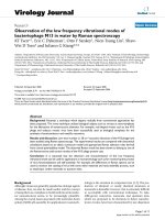 Báo cáo hóa học: 