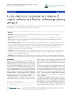 báo cáo hóa học: 