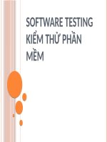 Software Testing final pdf