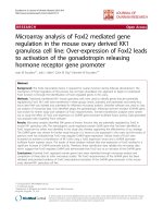 báo cáo hóa học: