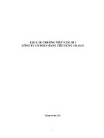 báo cáo thường niên năm 2011 công ty cổ phần hàng tiêu dùng ma san tháng 04 năm 2012