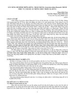 Nghiên cứu khoa học 