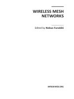 Wireless Mesh Networks Part 1 pptx