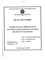 Nghiên cứu quy trình sản xuất mứt đông (Jam) chanh dây tận dụng Pectin từ vỏ chanh dây.