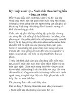 Kỹ thuật nuôi vịt – Nuôi nhốt theo hướng bền vững, an toàn doc