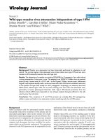 Báo cáo hóa học: 