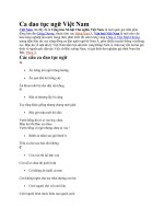 Ca dao tục ngữ Việt Nam pptx