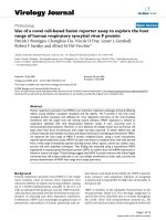 báo cáo hóa học: