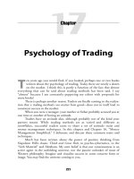 Getting Started in Currency Trading Winning in Today''''s Forex Market_11 docx