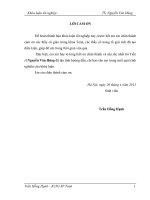 Khóa luận tốt nghiệp giải tích_Trần Hồng Hạnh