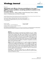 Báo cáo hóa học: 