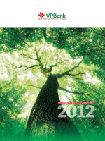 báo cáo thường niên 2012 ngân hàng việt nam thịnh vượng vpbank