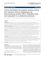 Báo cáo toán học: 