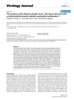 Báo cáo hóa học: 