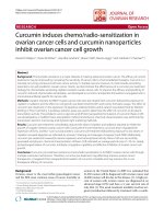 báo cáo hóa học: