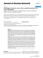 báo cáo hóa học: