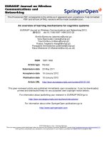 Báo cáo toán học: 