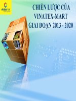 Phân tích chiến lược kinh doanh của vinatex mart giai đoạn 2013 2020
