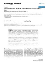 Báo cáo hóa học: 