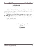 Khóa luận tốt nghiệp chuyên ngành giải tích