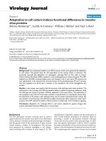 Báo cáo hóa học: 