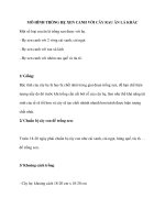 MÔ HÌNH TRỒNG HẸ XEN CANH VỚI CÂY RAU ĂN LÁ KHÁC ppt