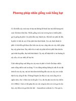 Phương pháp nhân giống xoài bằng hạt docx