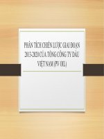 Phân tích chiến lược giai đoạn 2013  2020 của tổng công ty dầu việt nam
