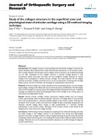 báo cáo hóa học: