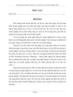 Hệ thống hoạch định và quản trị các nguồn lực của doanh nghiệp_ERP ppt