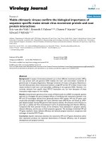 Báo cáo hóa học: 